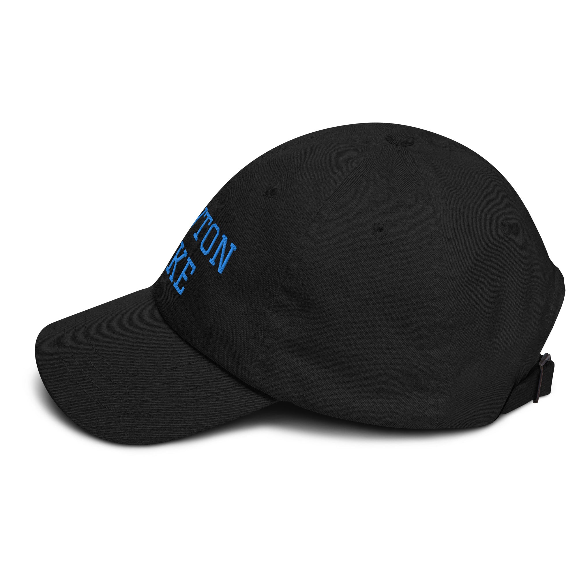 Newton Lake (front) Lake Life (back) Dad hat