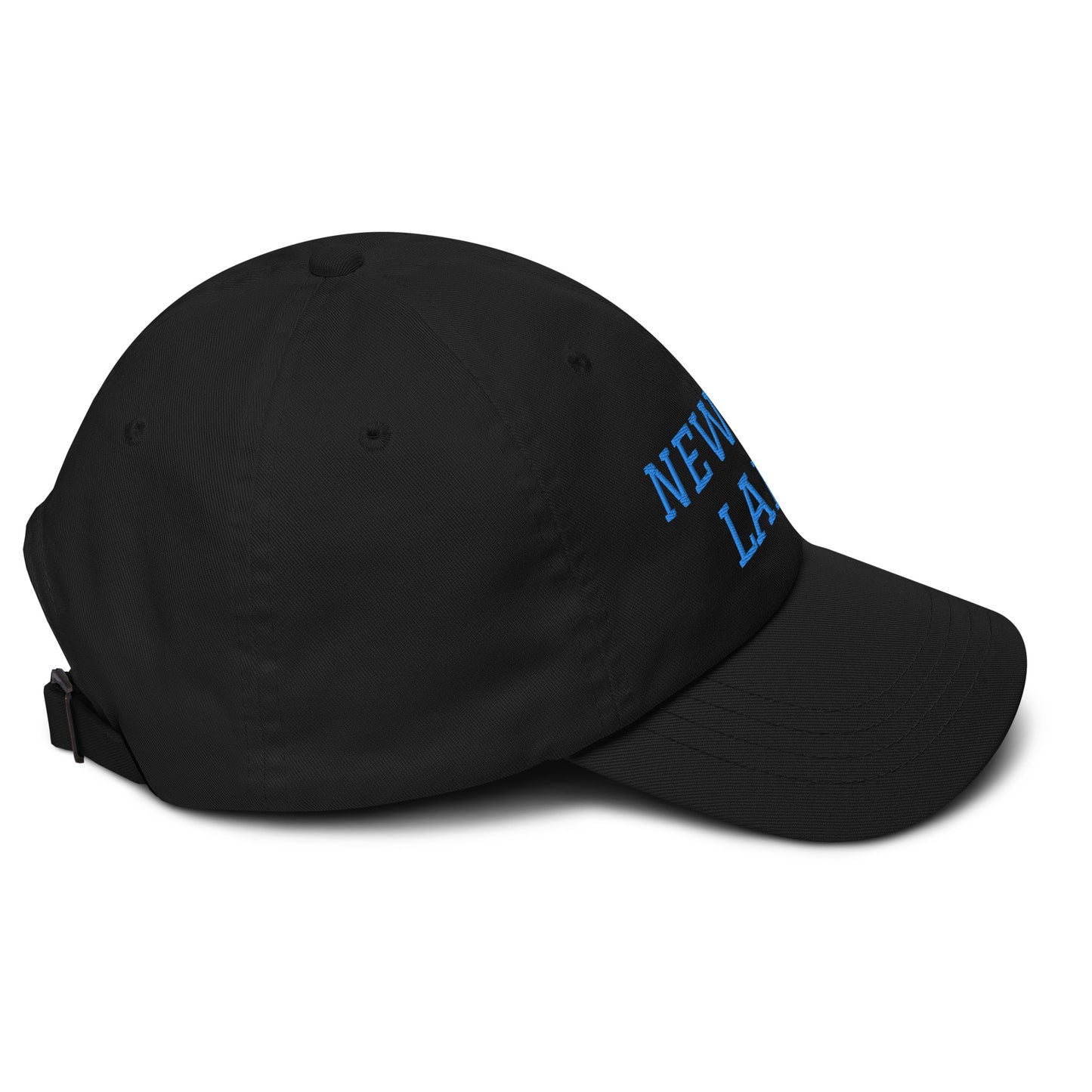 Newton Lake (front) Lake Life (back) Dad hat