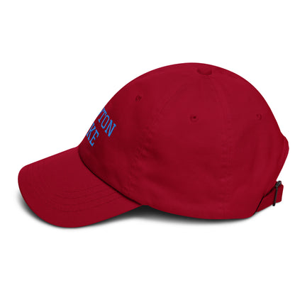 Newton Lake Lake Life Dad hat