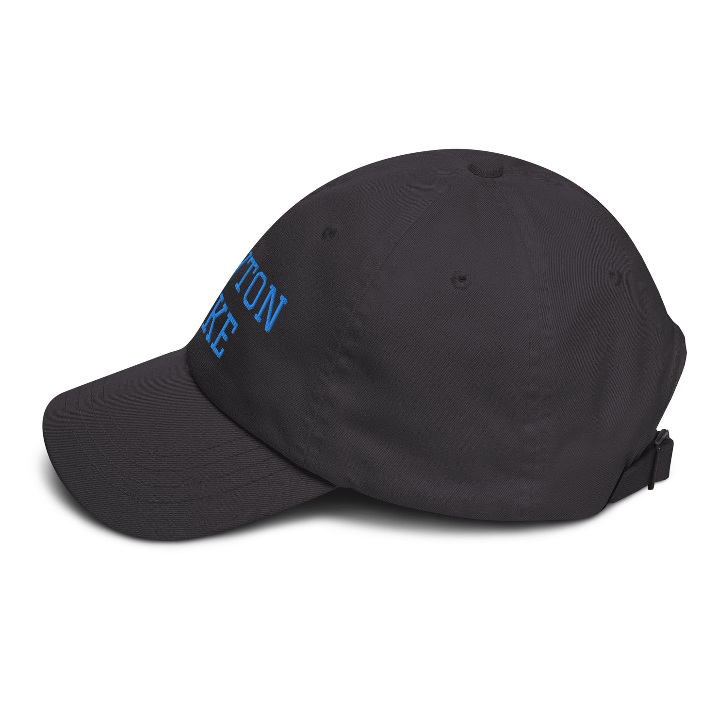 Newton Lake (front) Lake Life (back) Dad hat