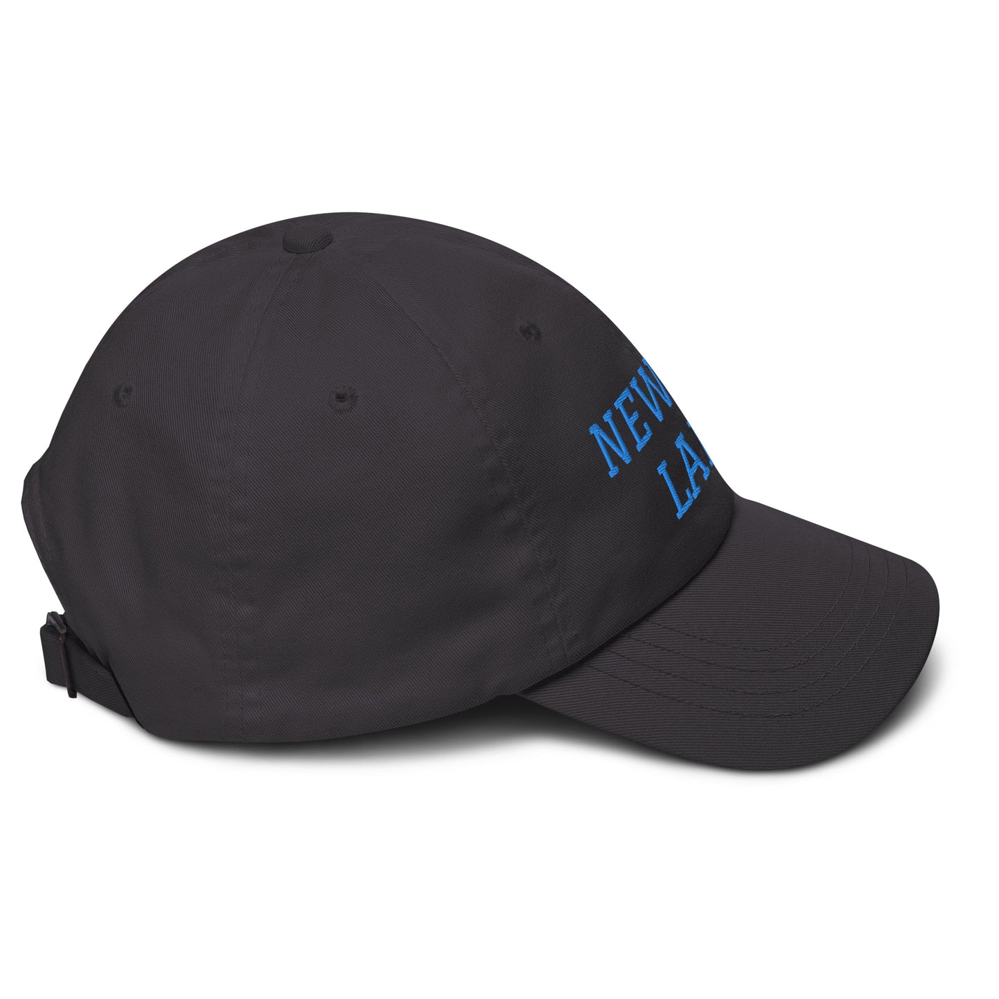 Newton Lake (front) Lake Life (back) Dad hat