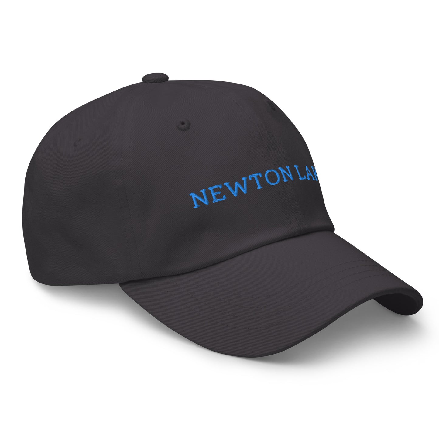 Newton Lake Classic Dad hat