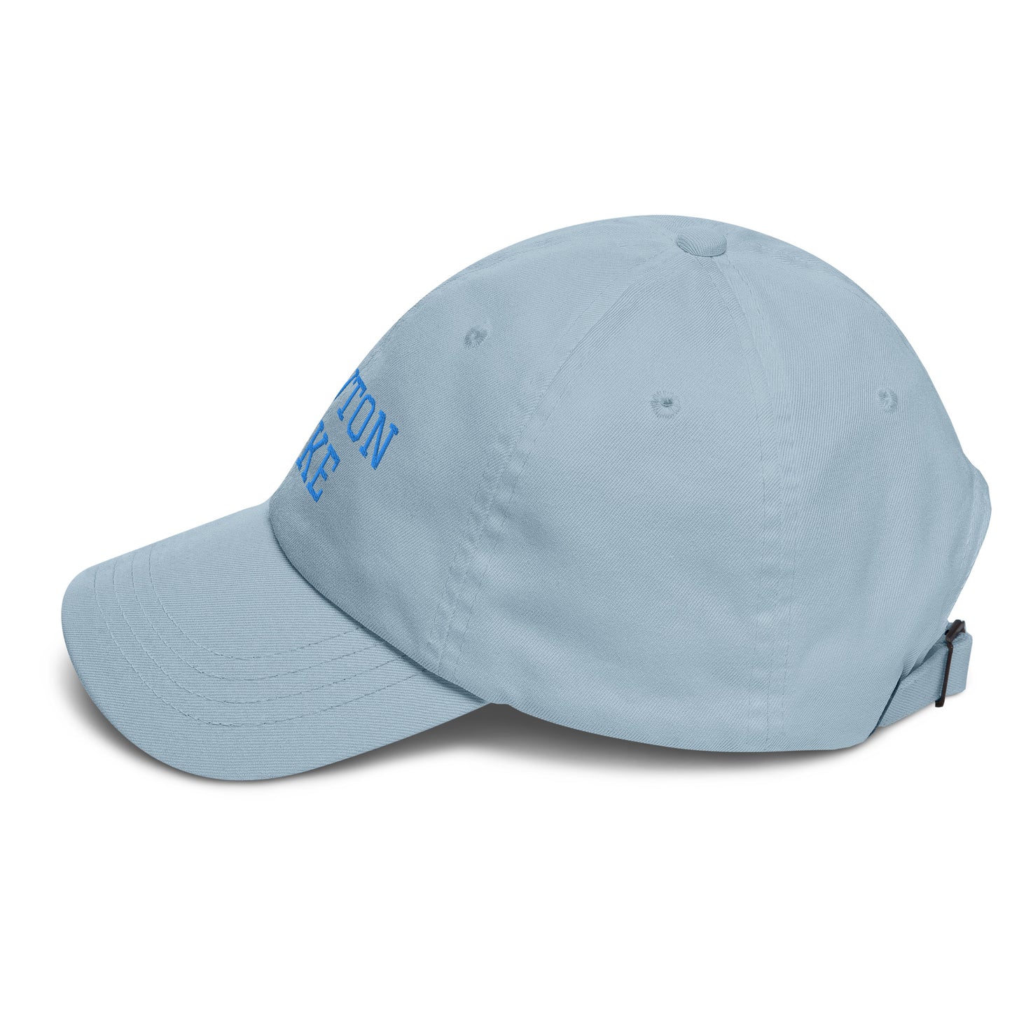 Newton Lake Lake Life Dad hat