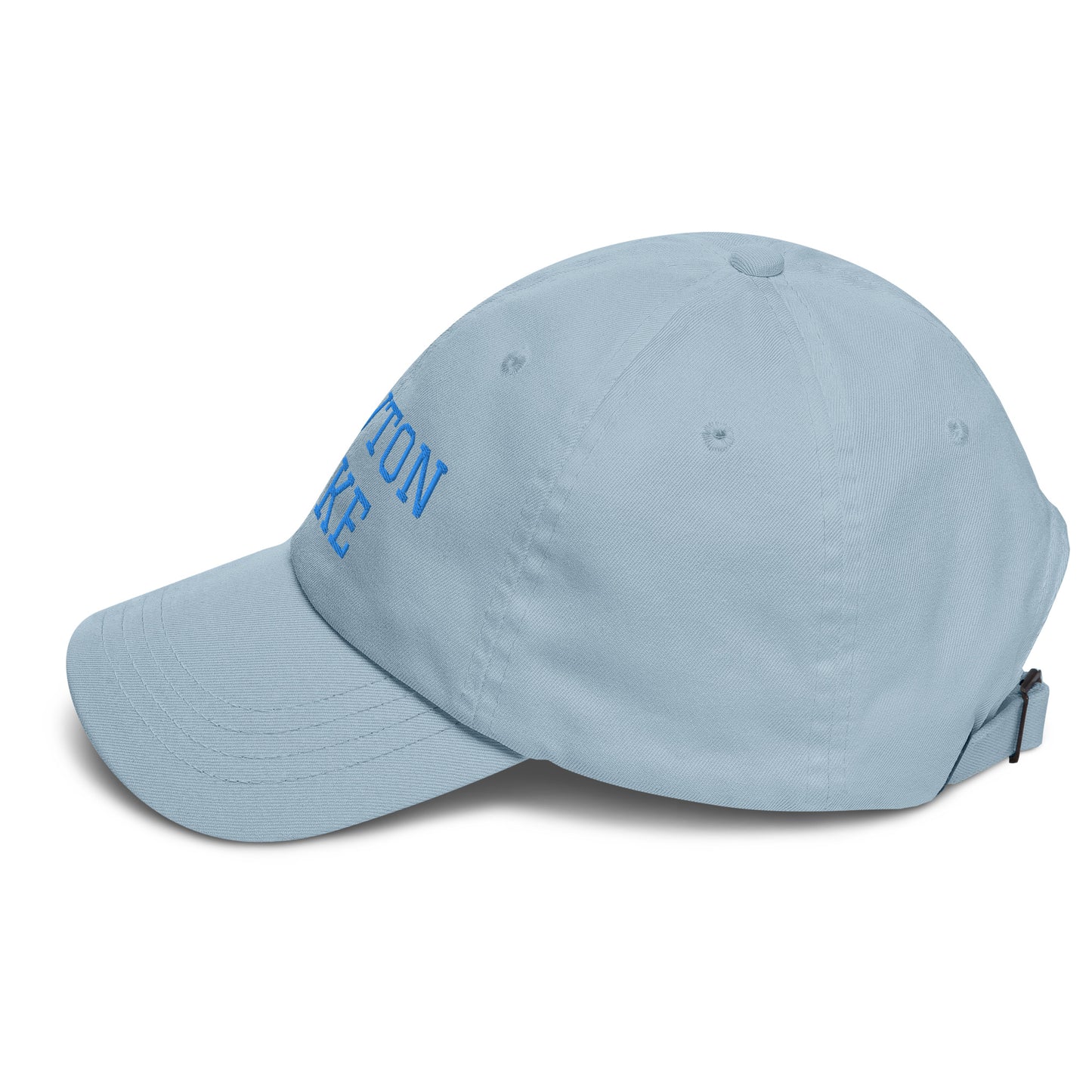 Newton Lake (front) Lake Life (back) Dad hat