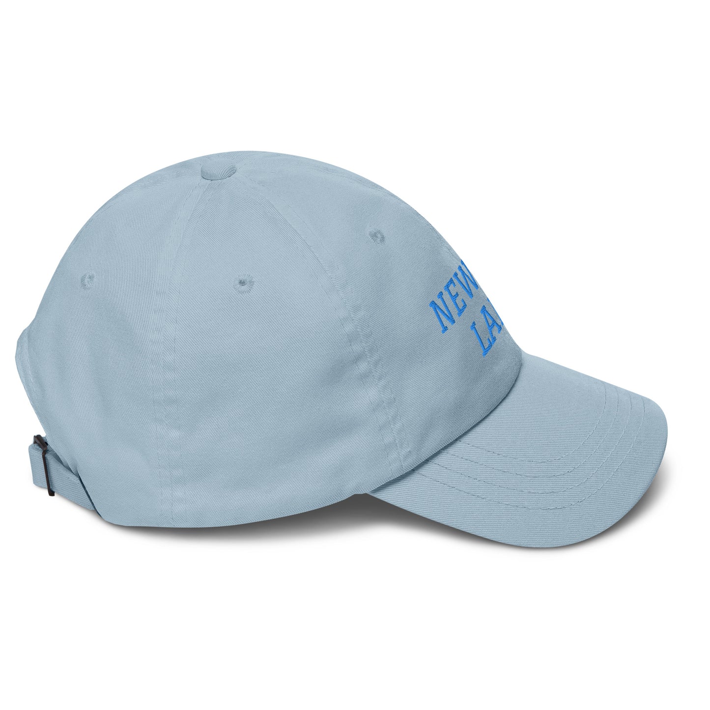 Newton Lake Lake Life Dad hat