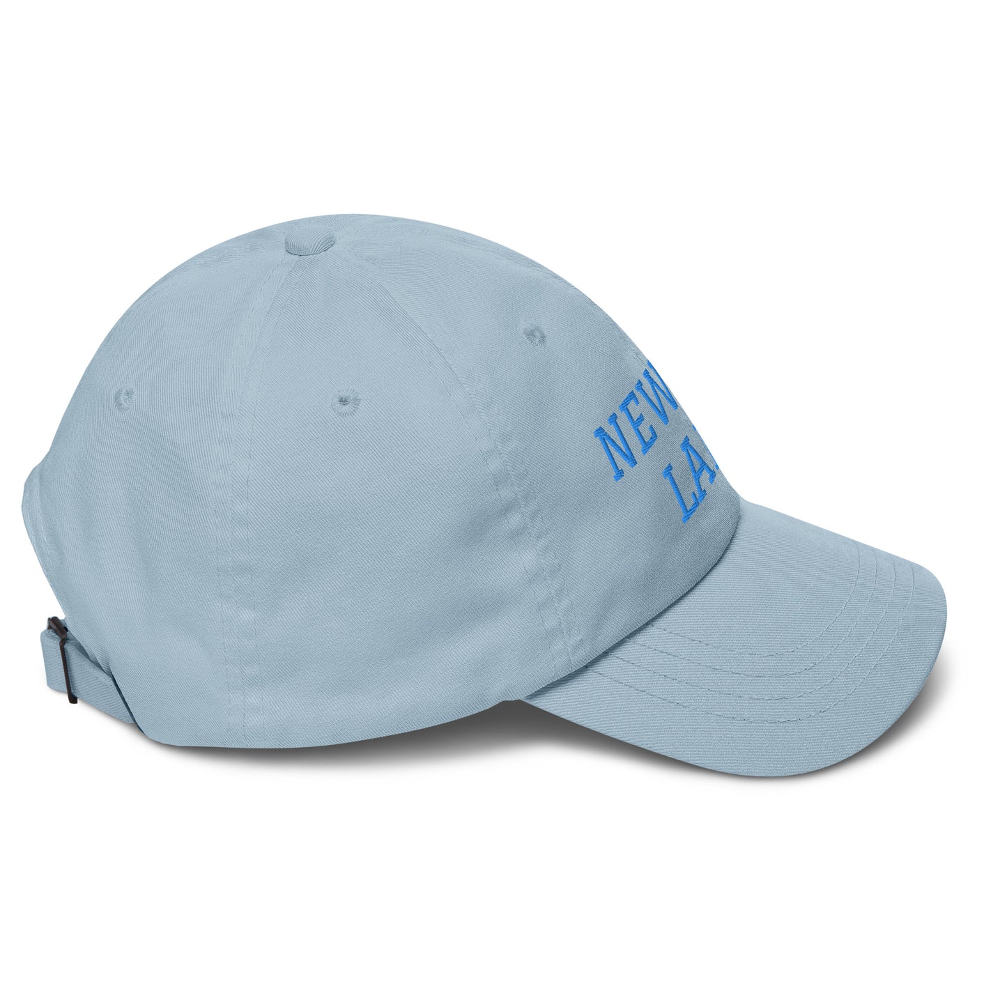 Newton Lake (front) Lake Life (back) Dad hat