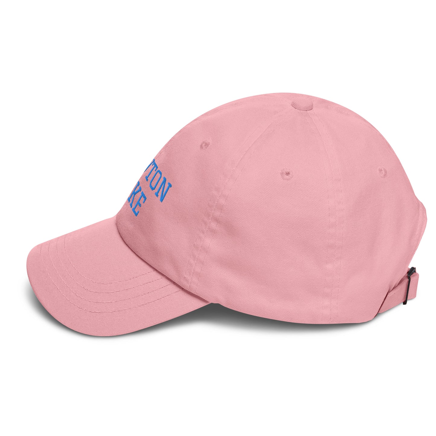 Newton Lake Lake Life Dad hat