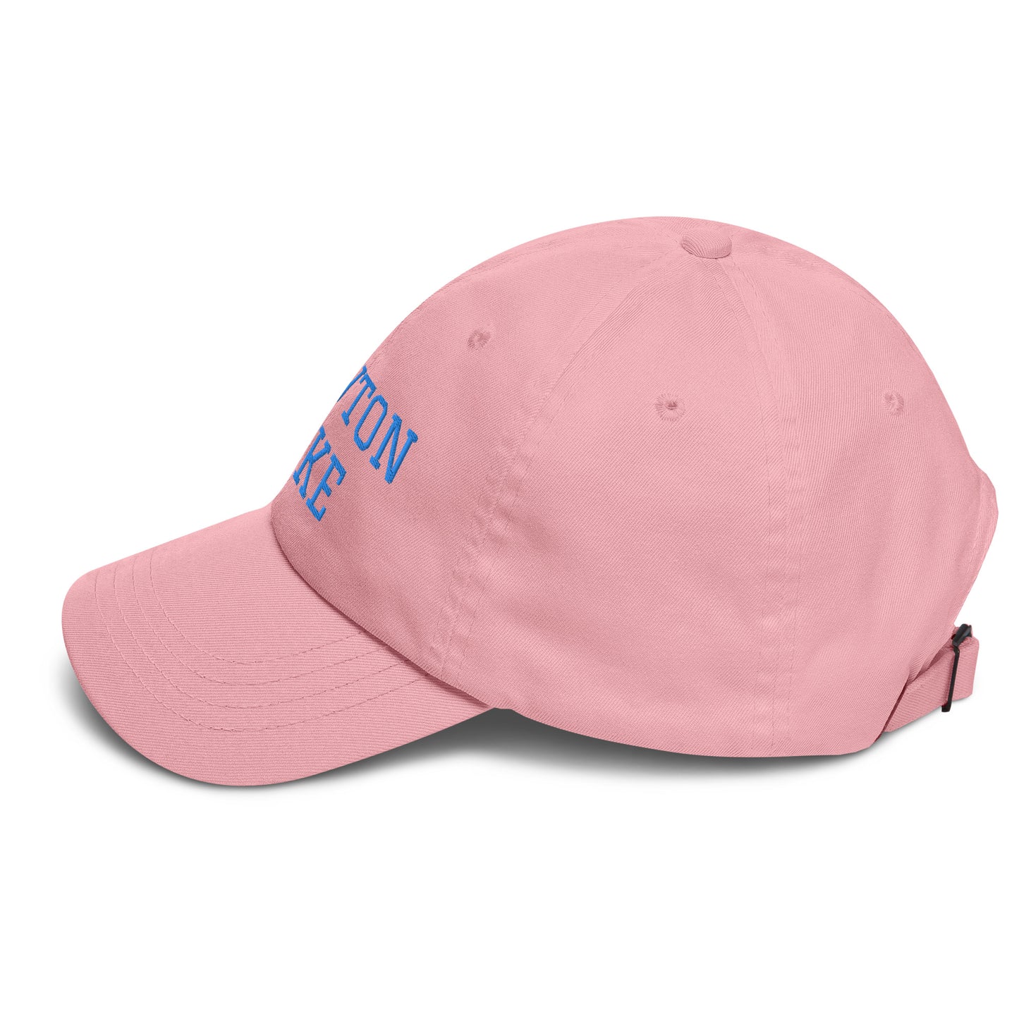 Newton Lake (front) Lake Life (back) Dad hat