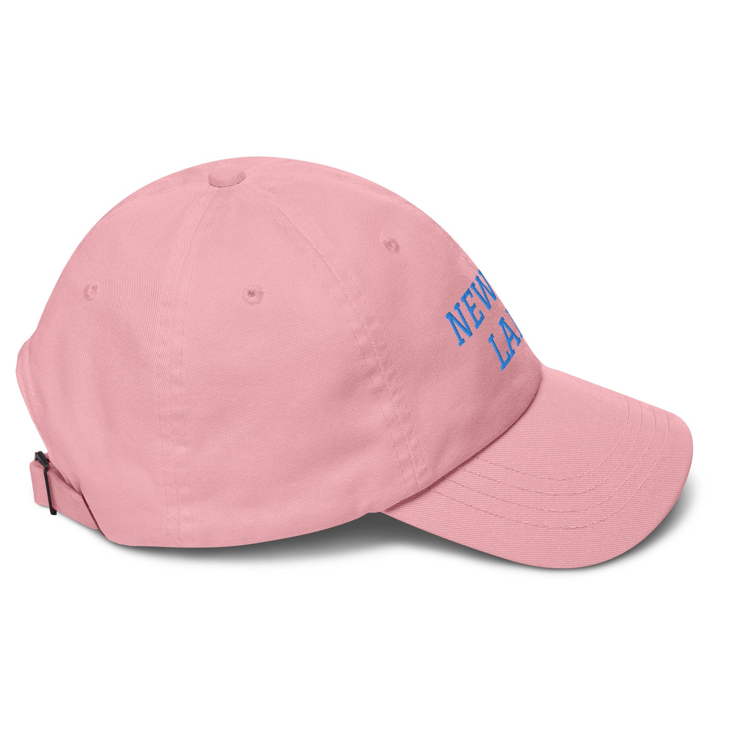 Newton Lake Lake Life Dad hat