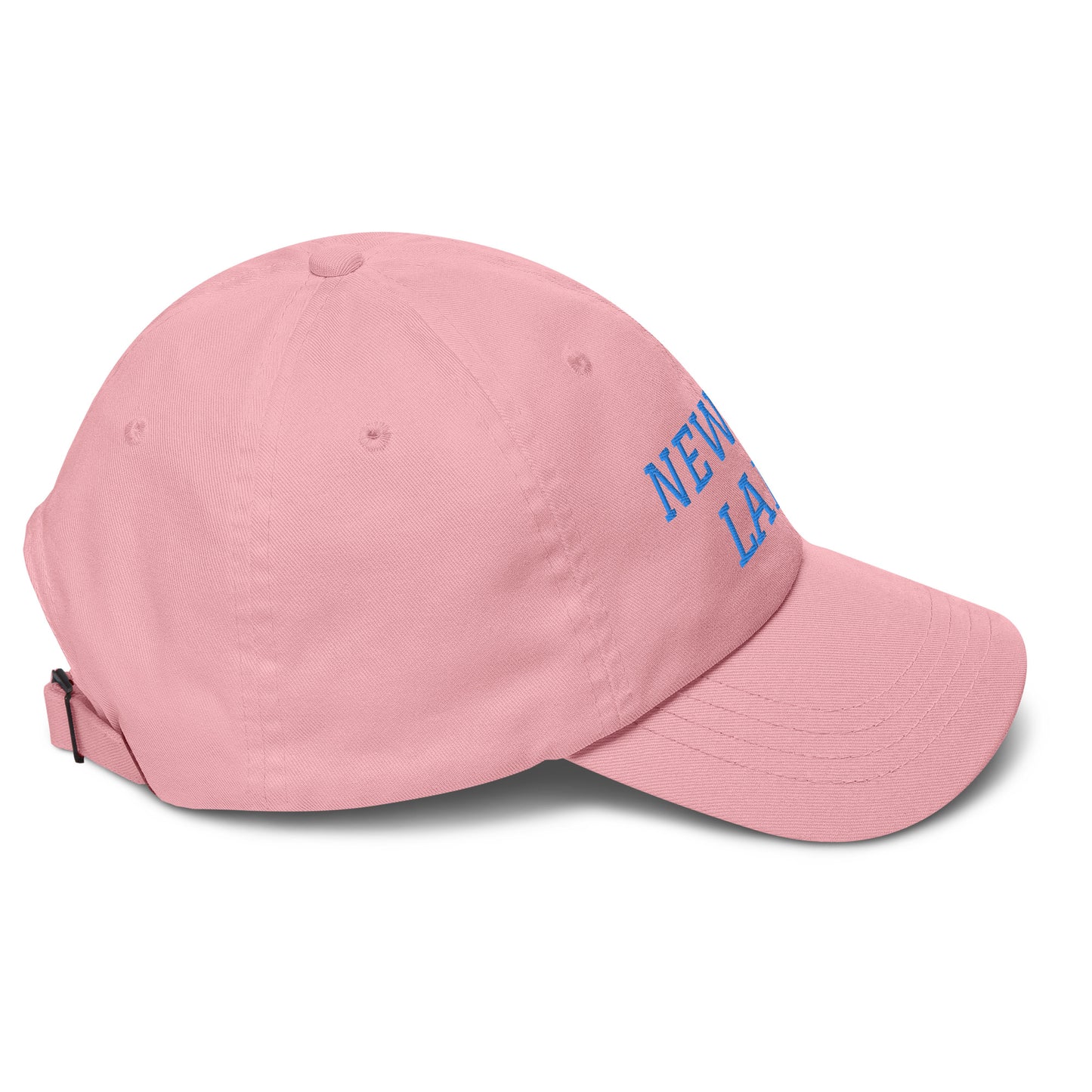 Newton Lake (front) Lake Life (back) Dad hat