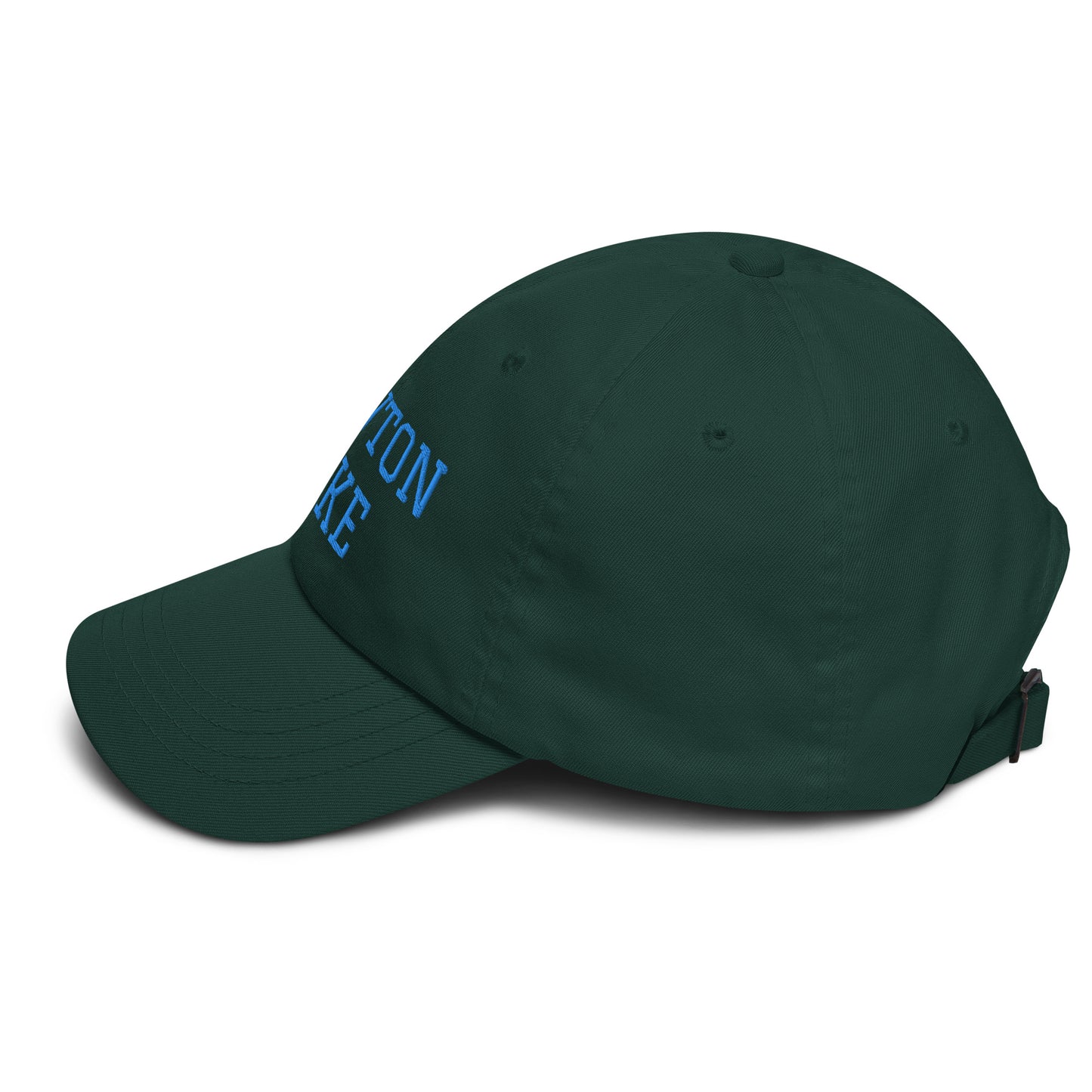 Newton Lake (front) Lake Life (back) Dad hat