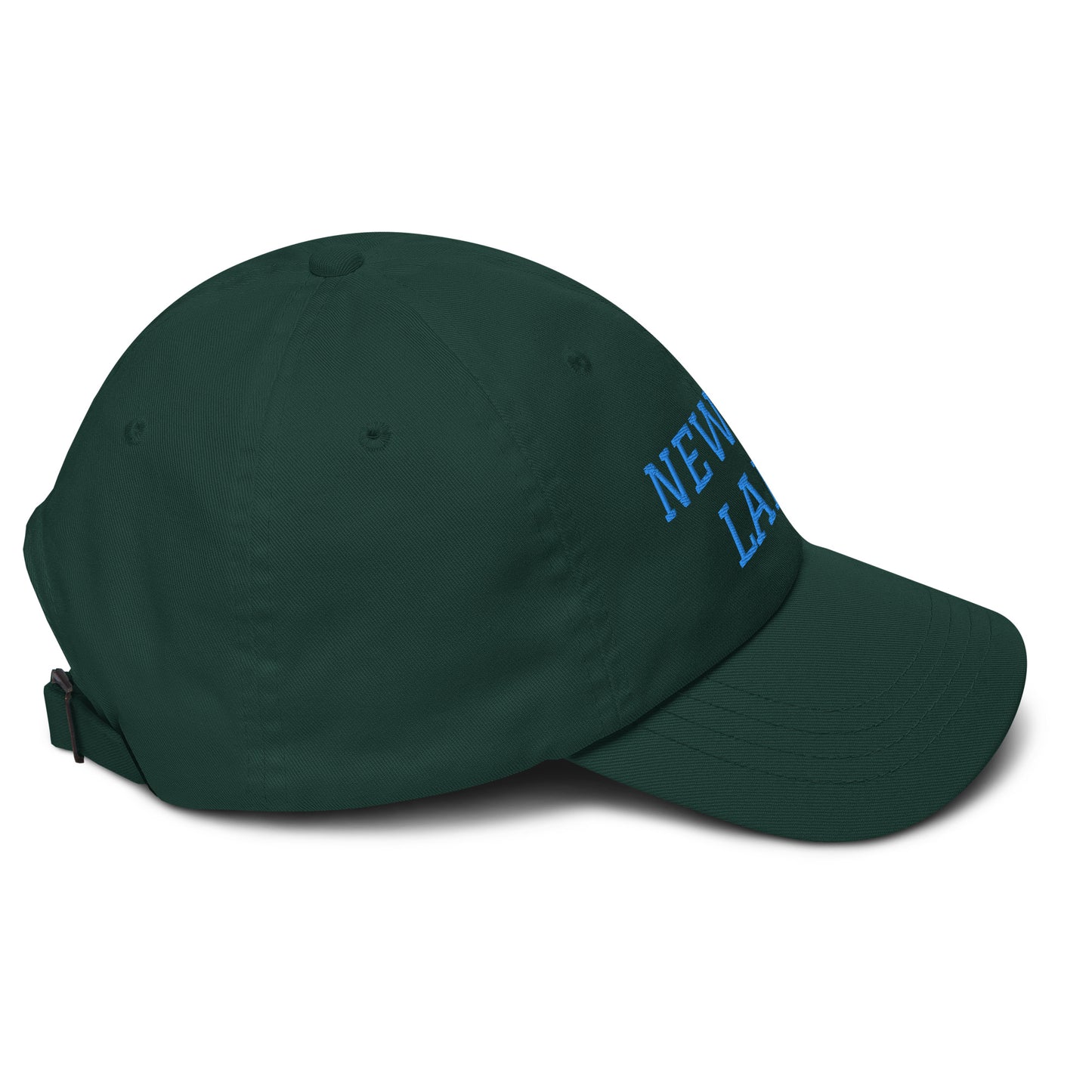 Newton Lake (front) Lake Life (back) Dad hat