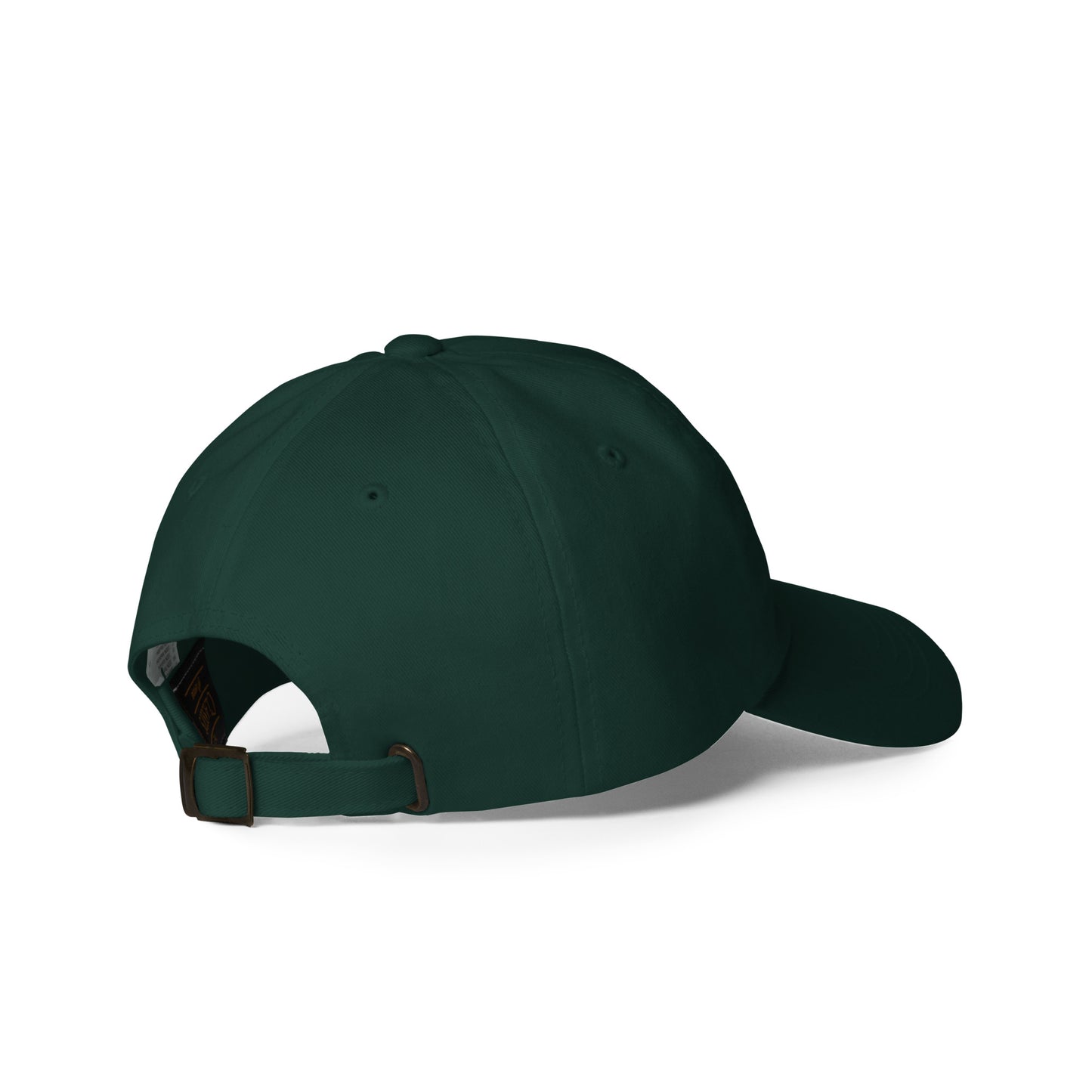 Newton Lake Classic Dad hat