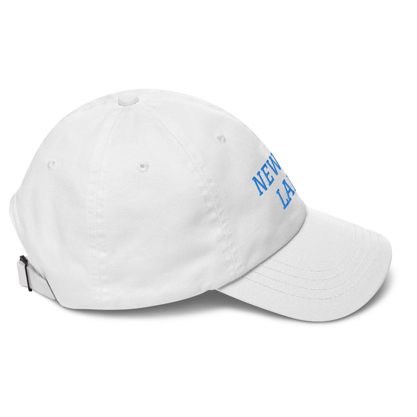 Newton Lake Lake Life Dad hat